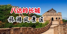 www.逼.con中国北京-八达岭长城旅游风景区